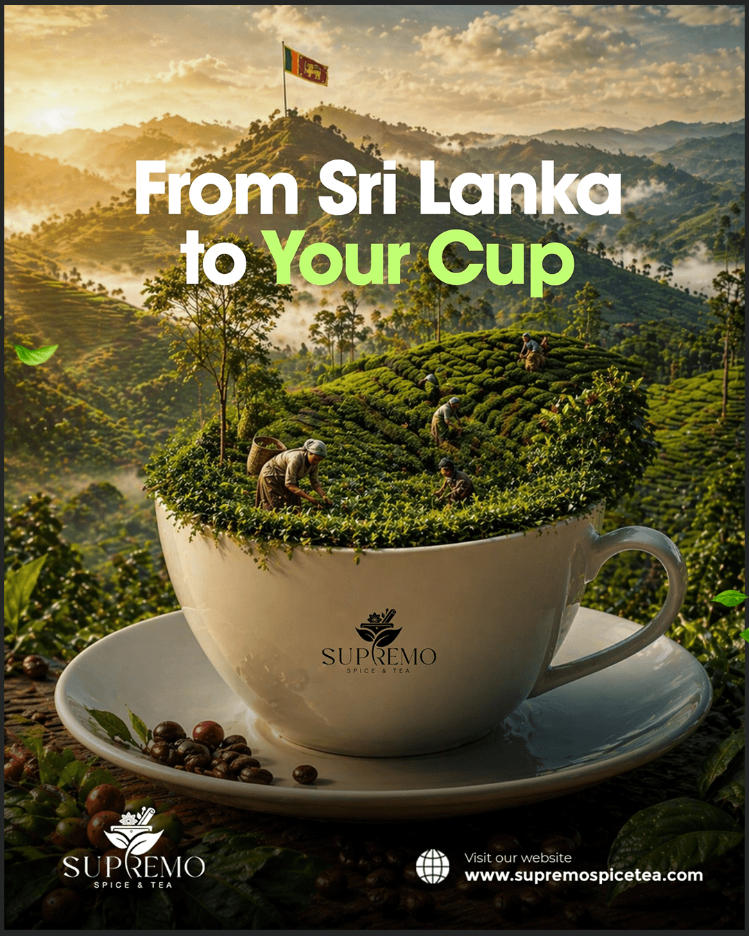 Supremo Spice Tea Branding